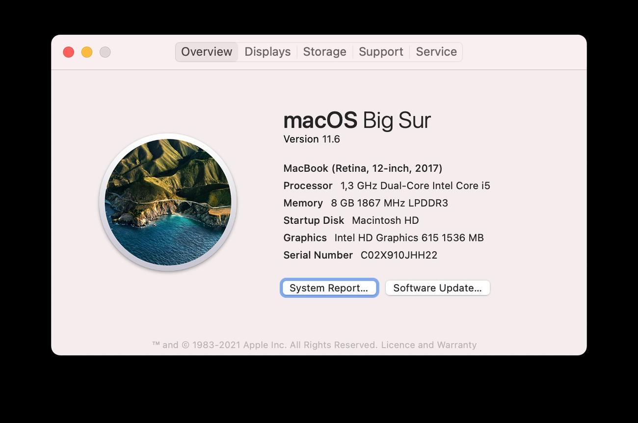 Ec59338faedf1c1c4ecbb48110abcf3c28903249 large