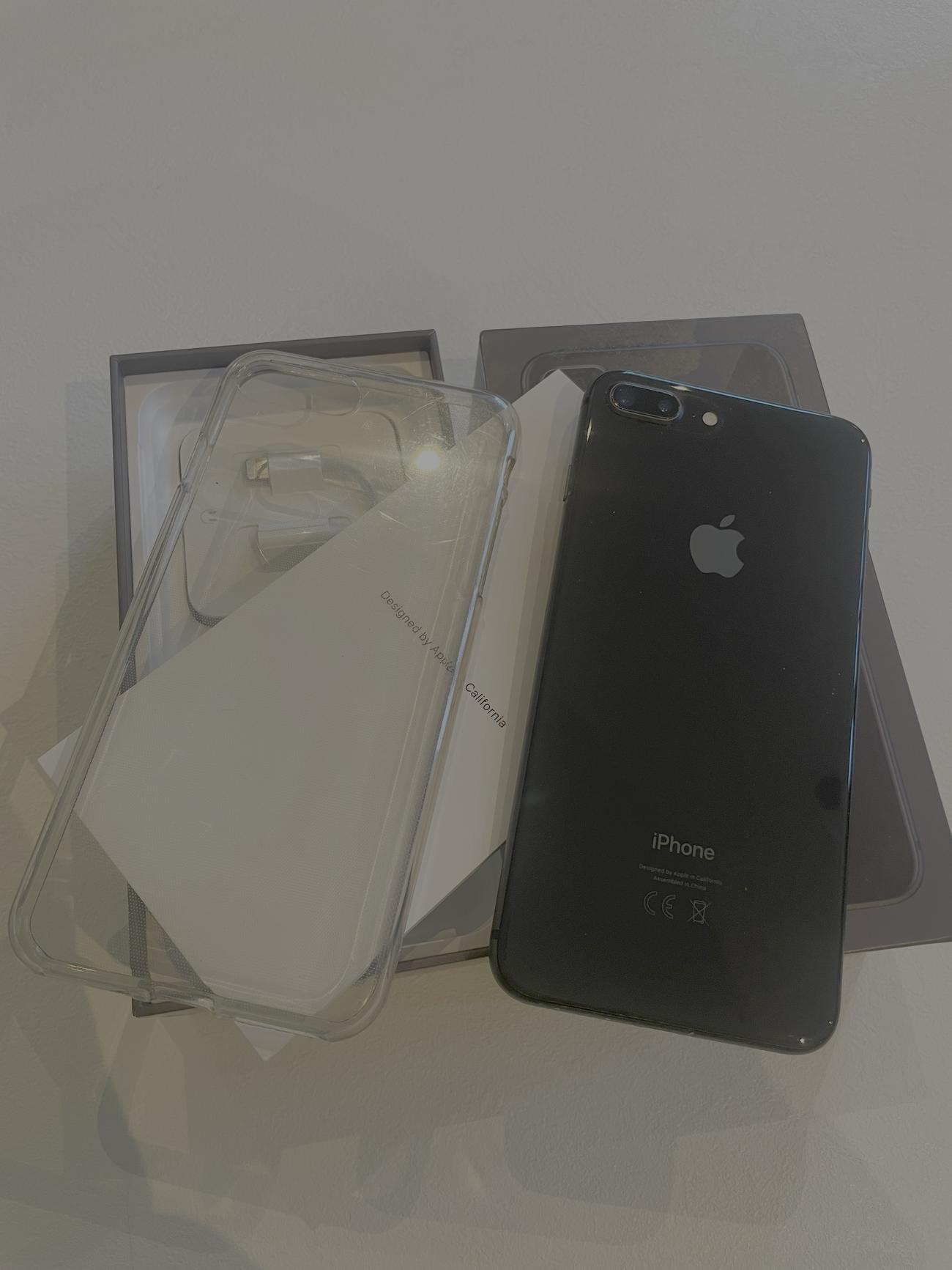 5586ce543965248a0d8e46acb172adc8e834fb85 large