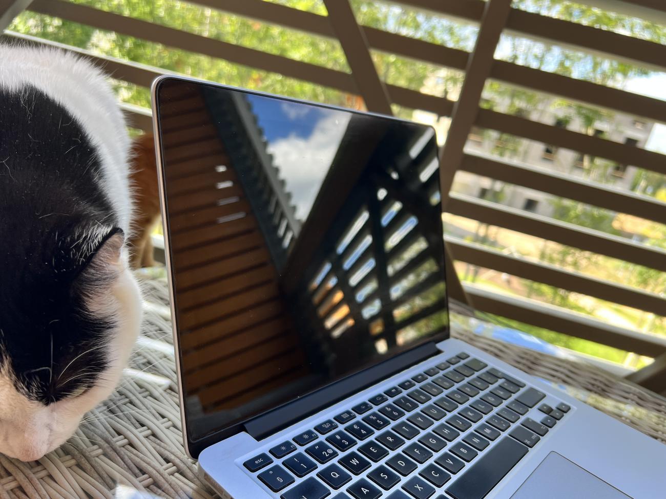 29ffbb1a3ec51ea2487347b3c837d16910ae9721 large