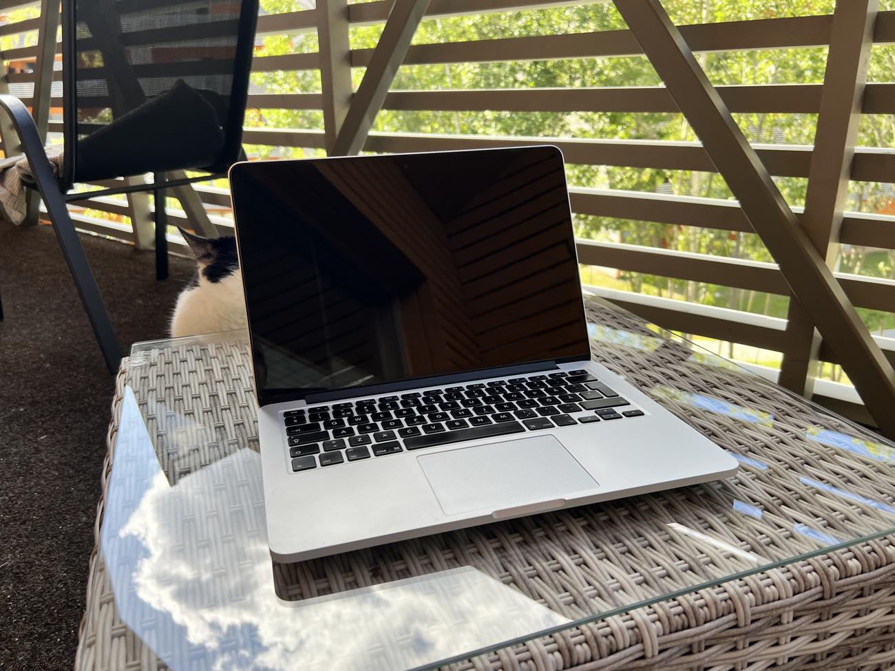 12bfb1798a2bd9872914202124e7269ca7e4a1f6 large