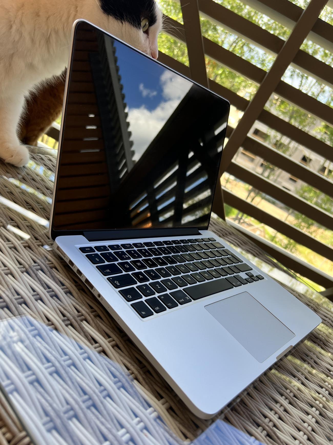 078ced0e0e8487c634ac116c4d6d819b8f30d0b4 large