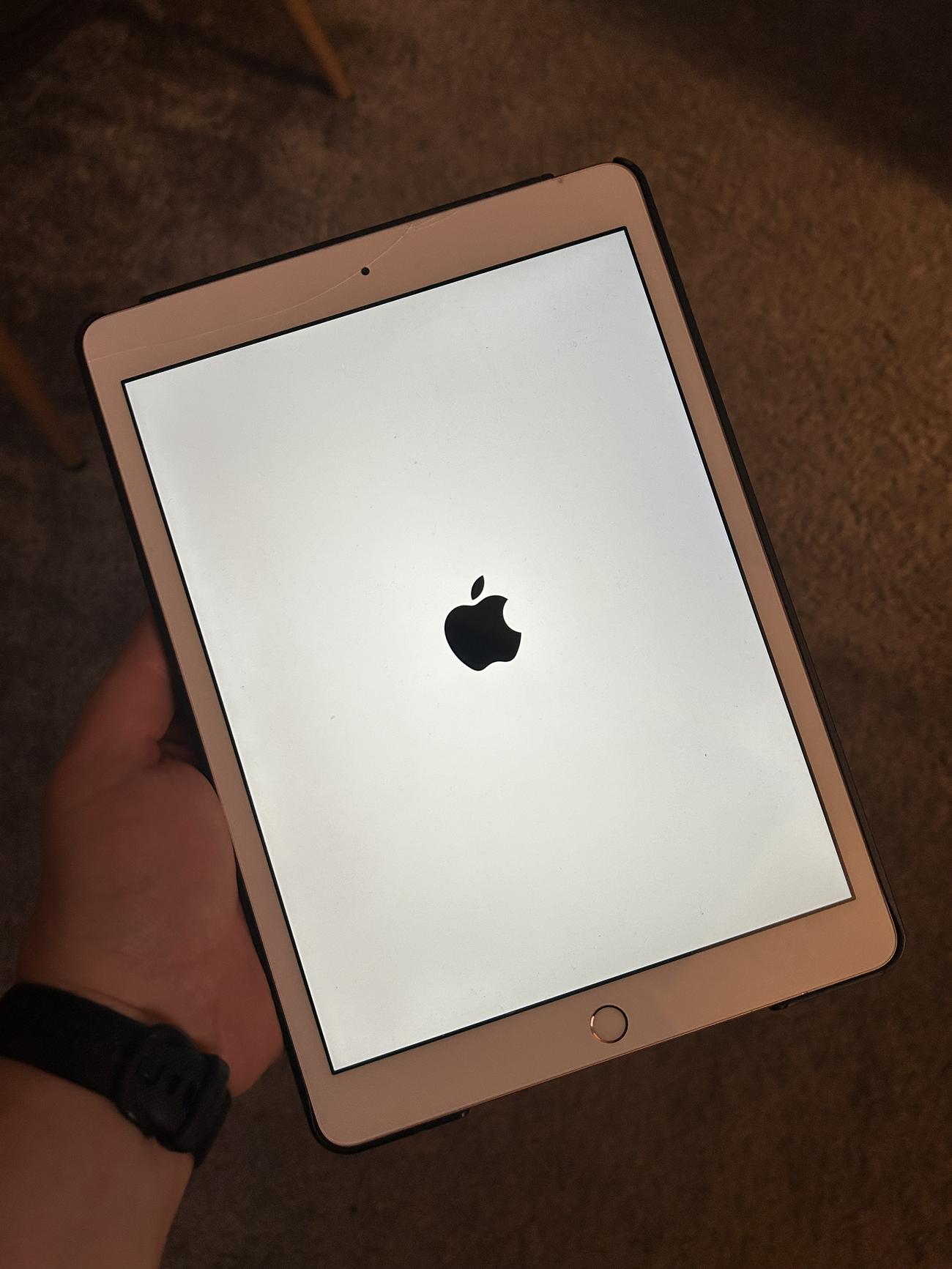 0b4dfc6c6dbb44e00bce6263d51326bffe633e2d large