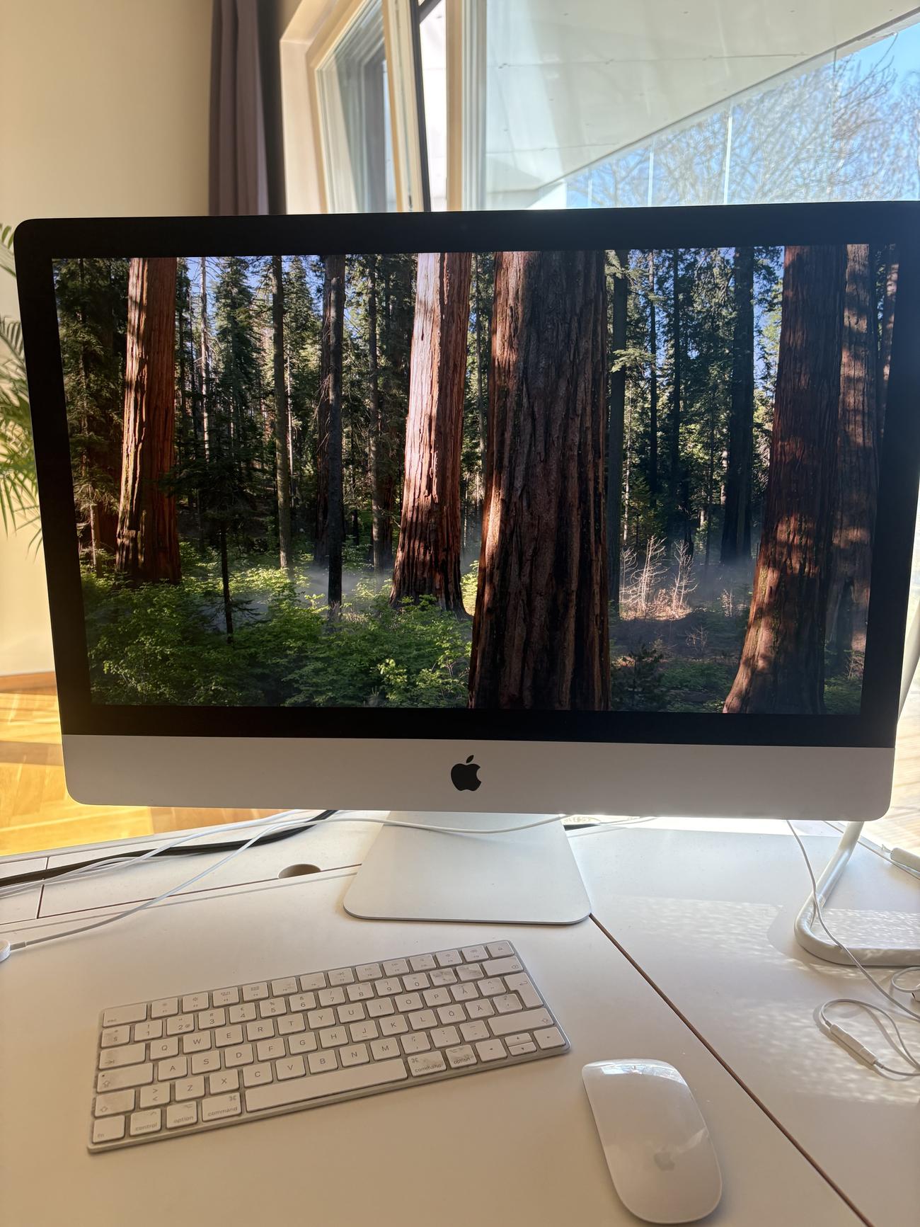 81adedcface1dc1a23bdfd8d07f990defd30cae7 large