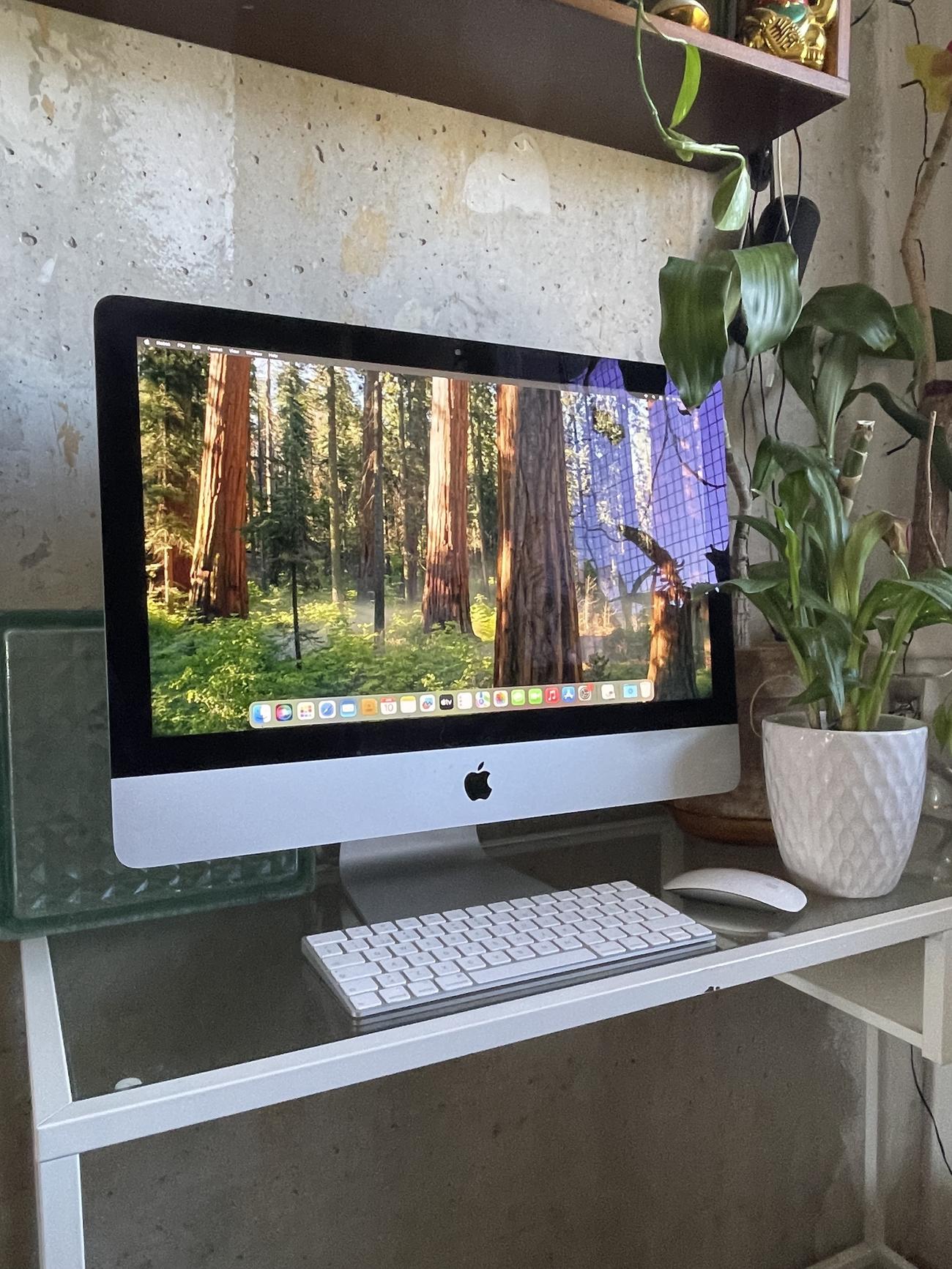 D67423abe47f18f3a1c40c953024b52e13616b5a large